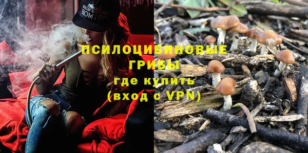 каннабис Алексин