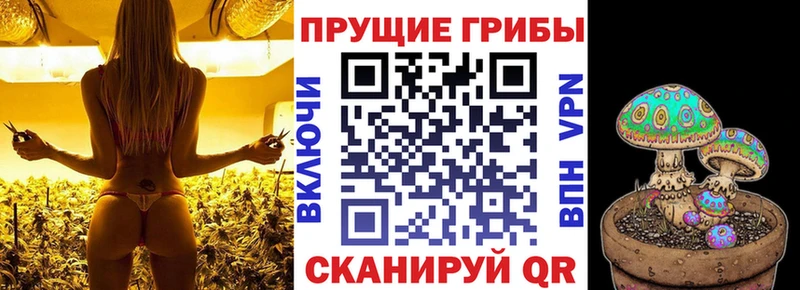Псилоцибиновые грибы Psilocybe  mega ONION  Чердынь 